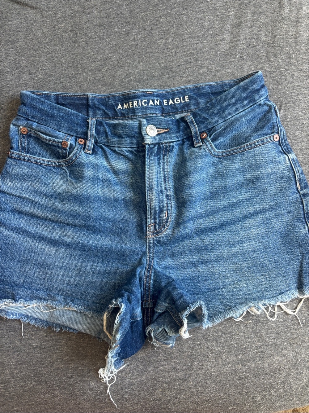 American Eagle Outfitters Size 2 Blue Distressed Denim Cutoff Shorts